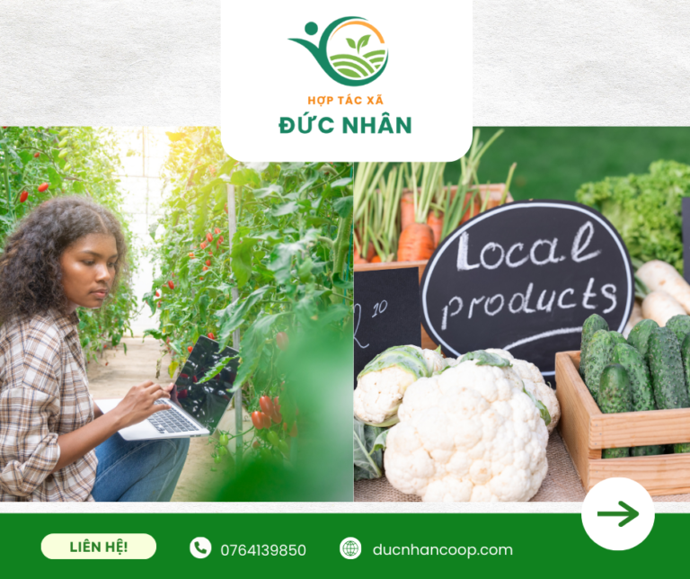 HTX Đức Nhân đồng hành tiêu thụ nông sản xã viên