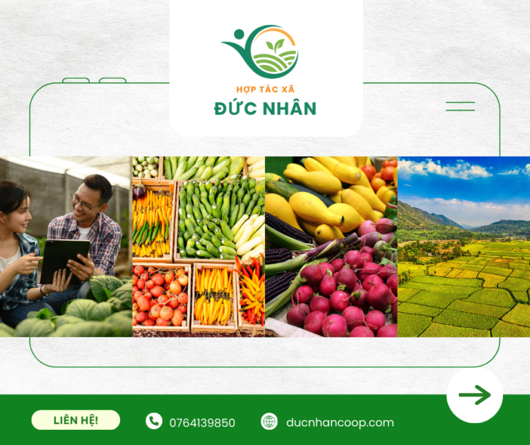 HTX Đức Nhân bao tiêu đầu ra nông sản ổn định