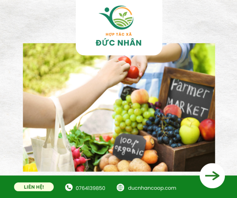 HTX Đức Nhân xây dựng thương hiệu nông sản xuất khẩu Việt Nam